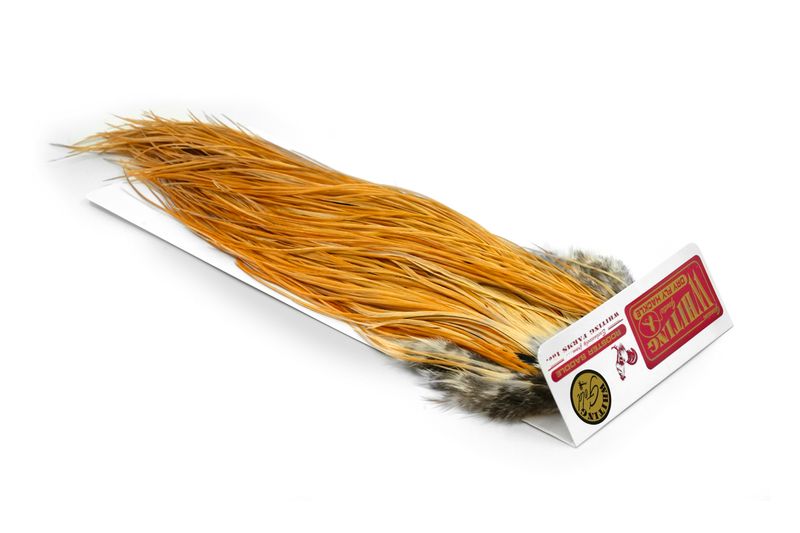 Whiting Rooster Saddle – Gold â€“ dealerweb-cms-1d69f40f-e22c-4c61-a11f-1e005f0ccea4.jpg