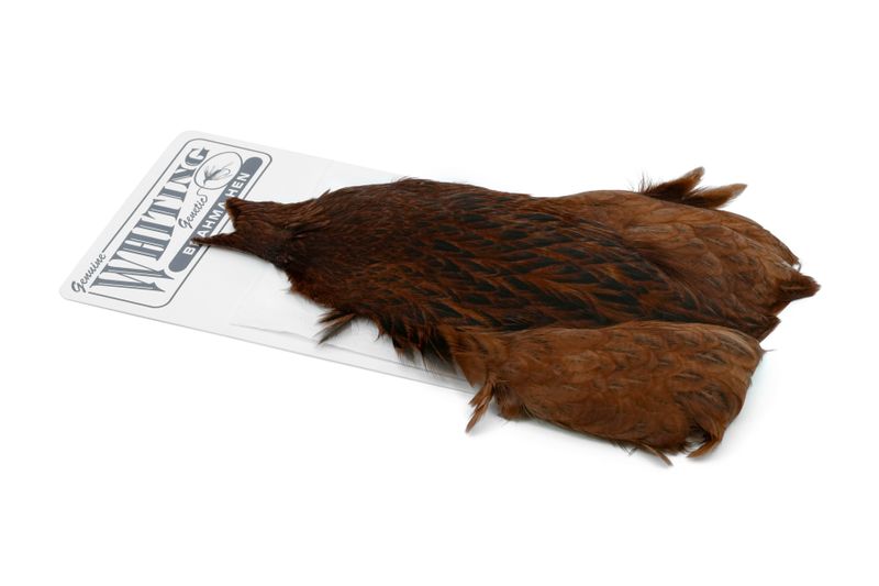 Whiting Brahma Hen Cape â€“ dealerweb-cms-20841ff1-11e4-416e-b790-6d4243242fde.jpg