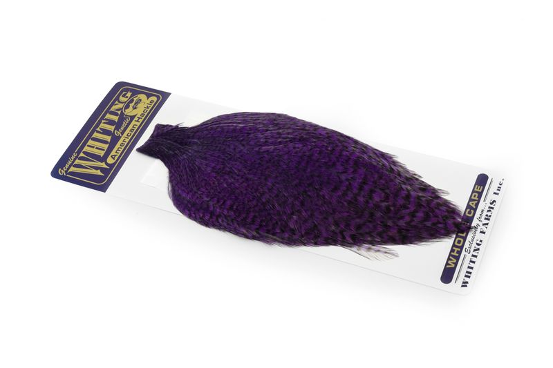 Whiting American Rooster Cape â€“ dealerweb-cms-22a146fb-0efc-4075-9506-5c296f39ae3c.jpg