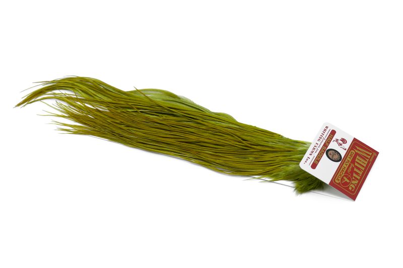 Whiting Rooster Midge 1/2 Saddle – Bronze â€“ dealerweb-cms-270566ce-608b-442a-a05d-a06e5a696eab.jpg