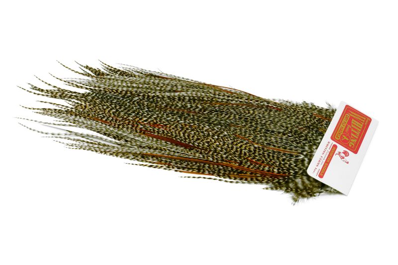 Whiting Rooster Saddle – Commercial Grade â€“ dealerweb-cms-27b484c5-c75a-411b-846a-7fbe676375aa.jpg