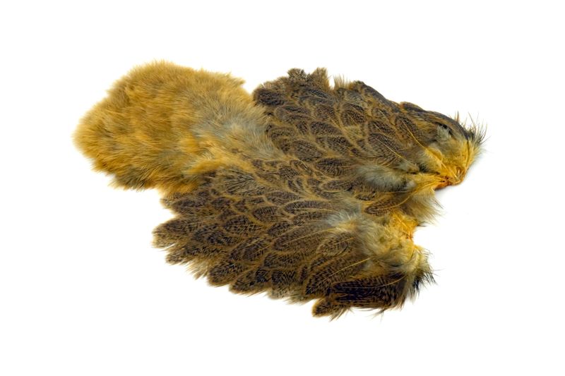 Whiting Brahma Hen SH/C â€“ dealerweb-cms-2a10e6ea-962b-4085-88f5-07b0bd1f23b6.jpg