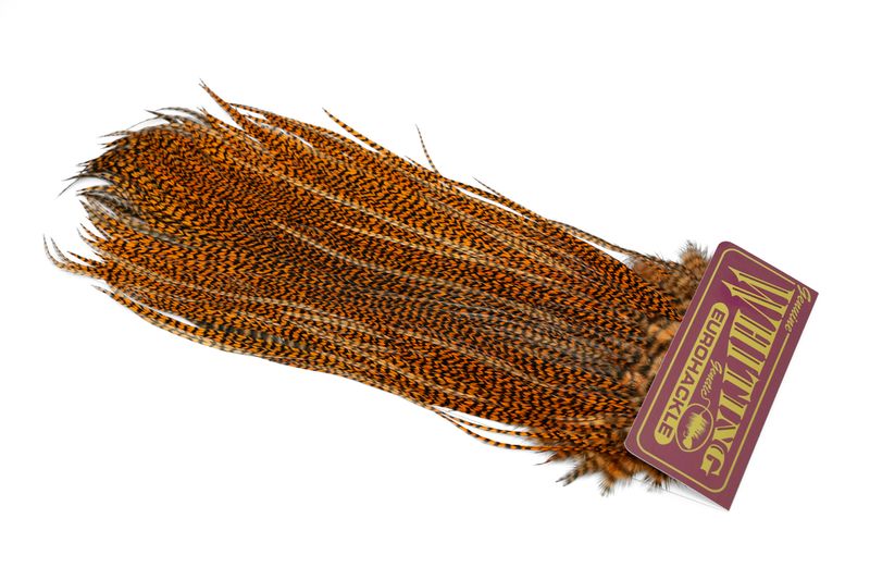 Whiting Eurohackle Saddle â€“ dealerweb-cms-2b7118b9-f944-4b01-841a-fb5334e9be99.jpg