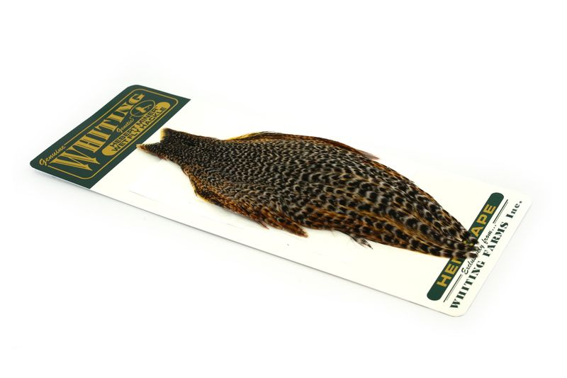 Whiting Hebert Hen Cape â€“ dealerweb-cms-2cb0c1ea-3a87-4290-a923-c0710a0720e1.jpg