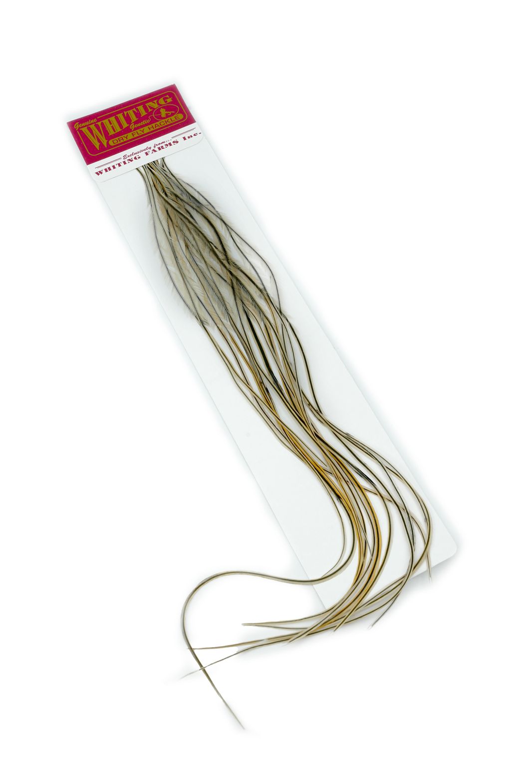 Whiting 100 Pack - Golden Badger Perfekt til flatwing tobis