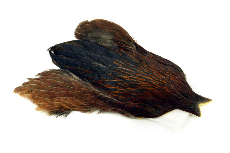 Whiting 4 B's Hen Cape â€“ dealerweb-cms-2e30b359-1b5f-4b25-b012-8fc59b4e5843.jpg