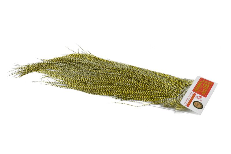 Whiting Rooster Midge Saddle – Bronze â€“ dealerweb-cms-2ef7563f-1b19-439d-b15b-0e646b958ec0.jpg