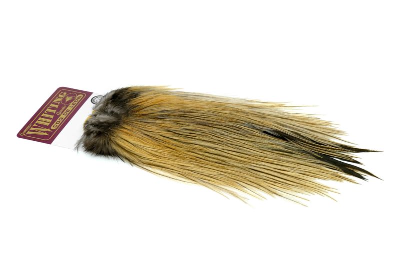 Whiting Coq de Leon Rooster Saddle – Silver â€“ dealerweb-cms-312e80aa-c920-4b1a-b73b-168cdea4ed55.jpg