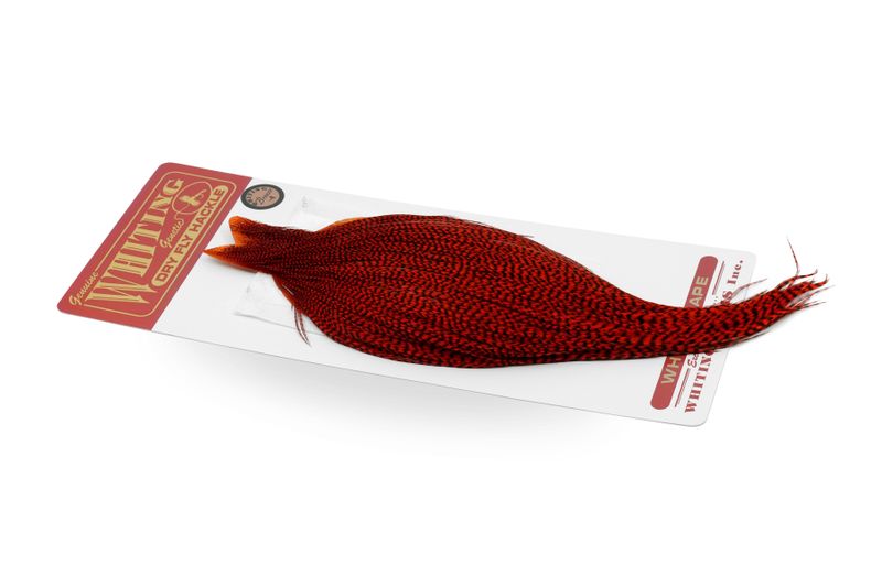 Whiting Rooster Cape – Bronze â€“ dealerweb-cms-3692cac2-d9b4-4420-9174-e3d175d19c1e.jpg