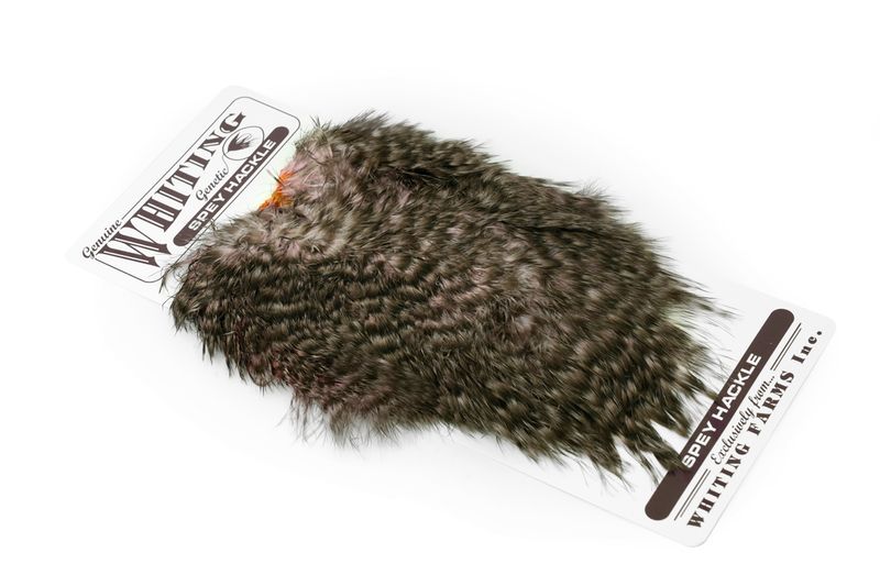 Whiting Spey Hackle Hen Saddle â€“ dealerweb-cms-37fbb623-6aa0-468c-9880-2218162272f1.jpg