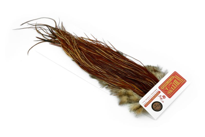 Whiting Rooster Midge Saddle – Bronze â€“ dealerweb-cms-38d0e16e-b3e2-488d-92e7-88c0ec69ba71.jpg