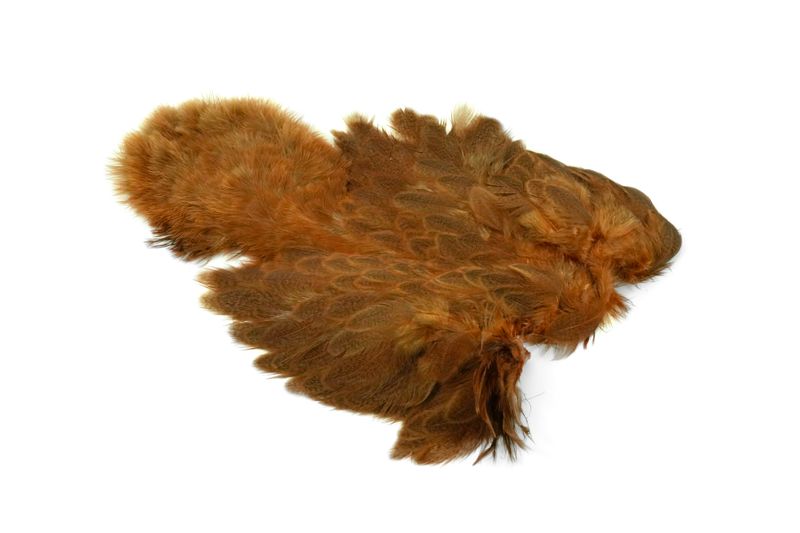 Whiting Brahma Hen SH/C â€“ dealerweb-cms-3b1475e4-2551-4afe-a8e1-87725d337406.jpg