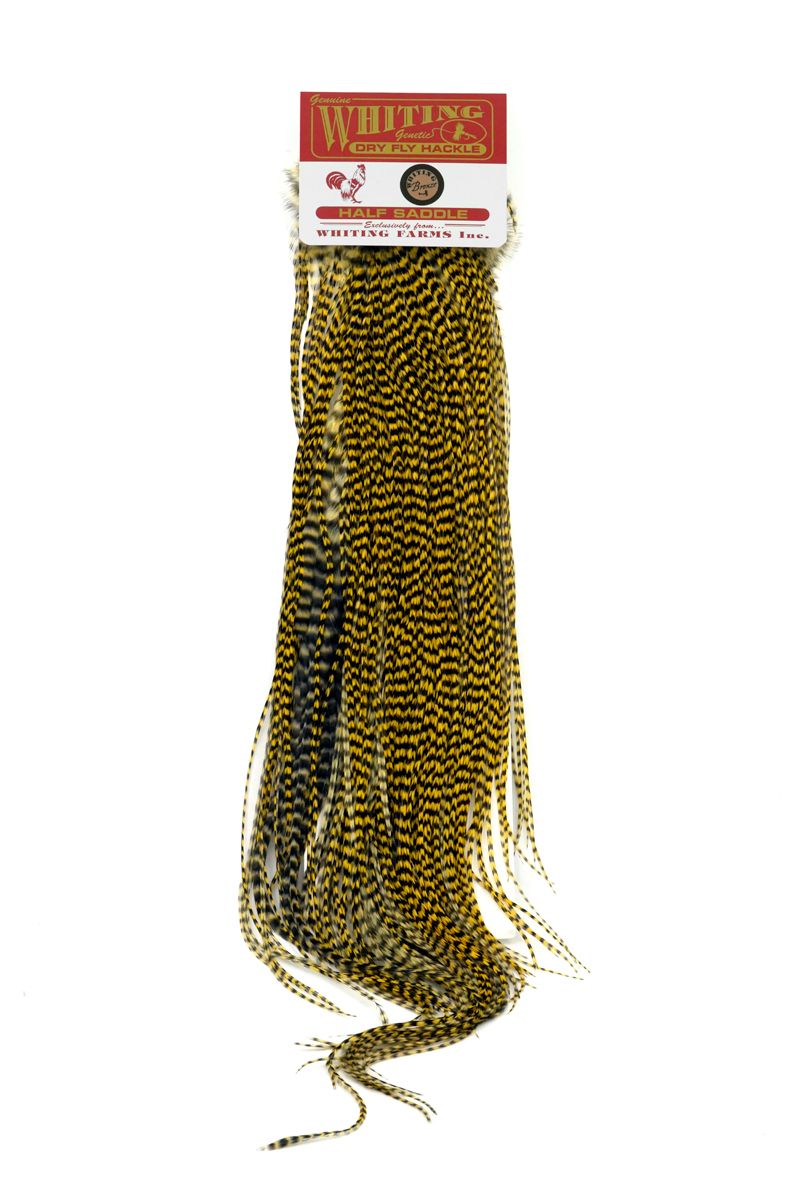 Whiting Rooster 1/2 Saddle – Bronze â€“ dealerweb-cms-3d960886-a7cd-4a8a-a533-80fee032bd8d.jpg
