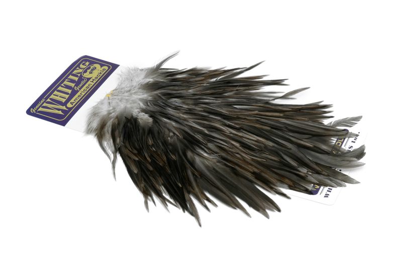 Whiting American Rooster Saddle â€“ dealerweb-cms-42d0032f-419d-4809-9ff0-24eee131c5bf.jpg