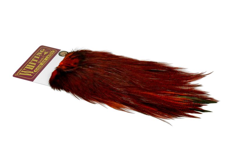 Whiting Coq de Leon Rooster Saddle – Bronze â€“ dealerweb-cms-433c2504-603f-4fcb-b8ca-7c2633b9b686.jpg