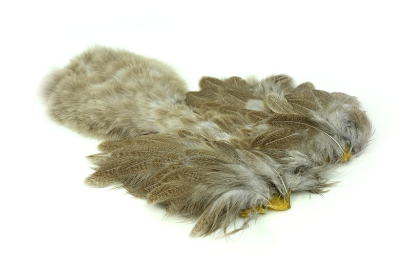 Whiting Brahma Hen SH/C â€“ dealerweb-cms-47a8952e-a2b4-4e02-99e6-601cadf992cb.jpg