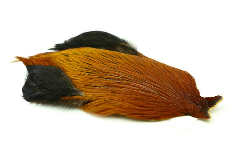 Whiting 4 B's Rooster Cape â€“ dealerweb-cms-482cf0f5-6863-417d-a623-b7a658c3537f.jpg