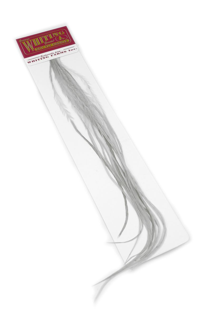 Whiting 100-pk – Size 14 â€“ dealerweb-cms-49547771-3154-486c-9970-a69f060eeba3.jpg