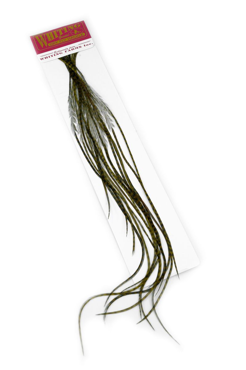 Whiting 100-pk – Size 20 â€“ dealerweb-cms-4962f234-233d-4d0c-ad9d-bc8c42c5e5d7.jpg
