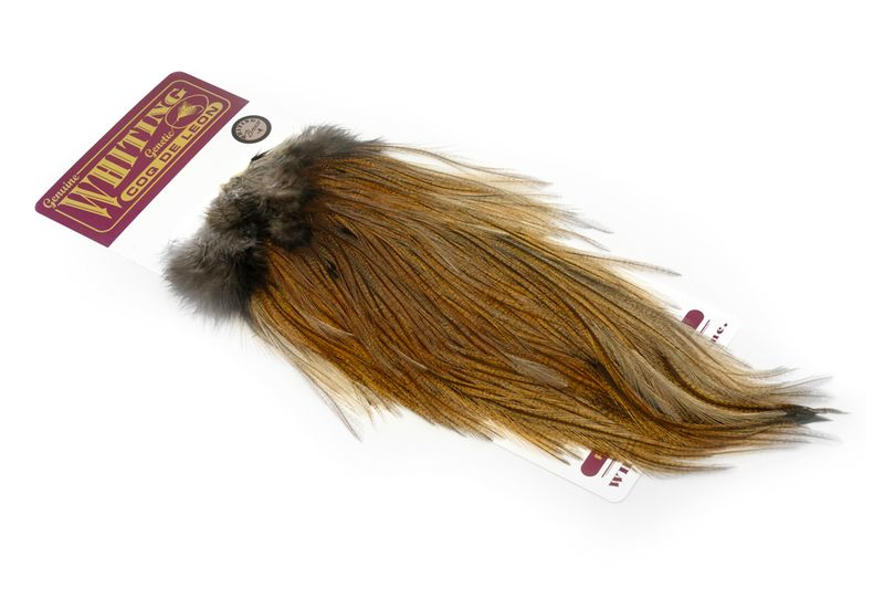 Whiting Coq de Leon Rooster Saddle – Bronze â€“ dealerweb-cms-4a793107-0d77-4903-afca-37e77bffb559.jpg