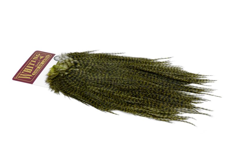 Whiting Coq de Leon Rooster Saddle – Silver â€“ dealerweb-cms-4b7e5ce2-d7ca-4f8b-97bd-2392a7eaee5c.jpg