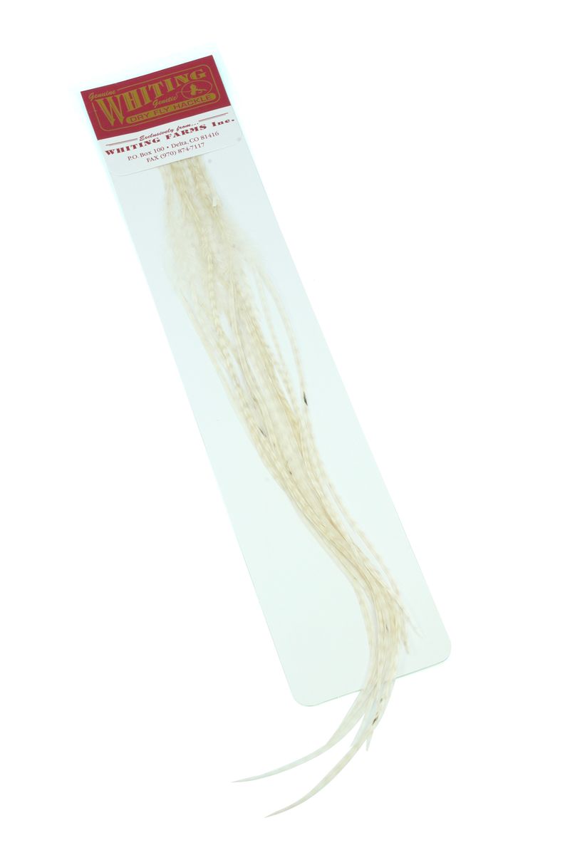 Whiting 100-pk – Size 18 â€“ dealerweb-cms-4be4903d-a13b-4510-b5e4-070cac0fb318.jpg
