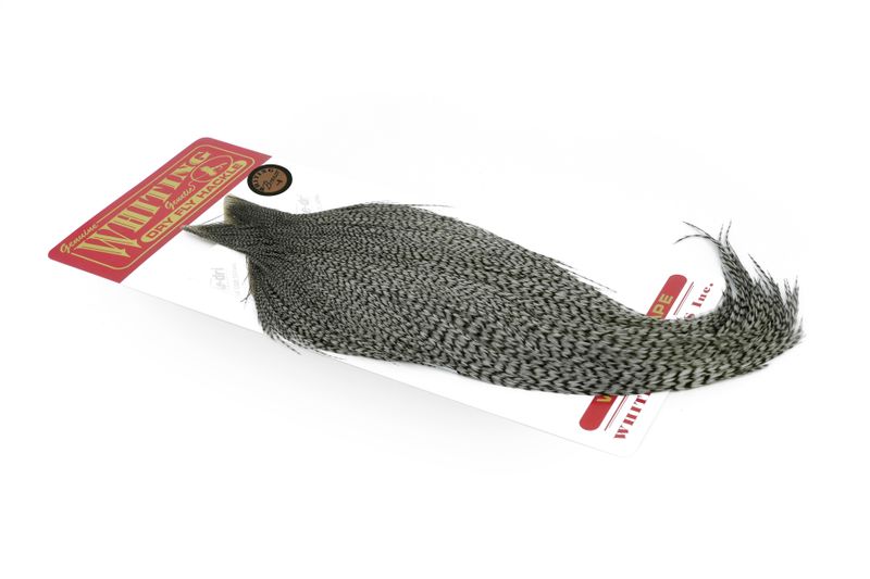 Whiting Rooster Cape – Bronze â€“ dealerweb-cms-4d78ff47-7355-4d4e-a6eb-5b93c31e5a08.jpg