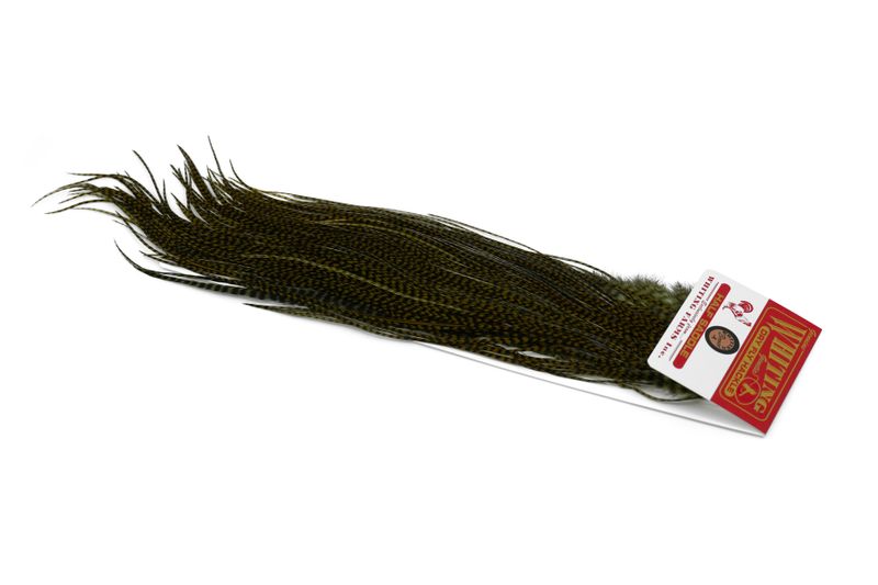 Whiting Rooster Midge 1/2 Saddle – Bronze â€“ dealerweb-cms-4dc2df31-9919-46a9-a0f5-9cc2a6f941c1.jpg