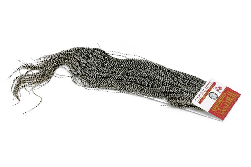 Whiting Silver Midge 1/2 Saddle â€“ dealerweb-cms-4f9e0111-7806-40af-aa9f-ba53979b3bc2.jpg