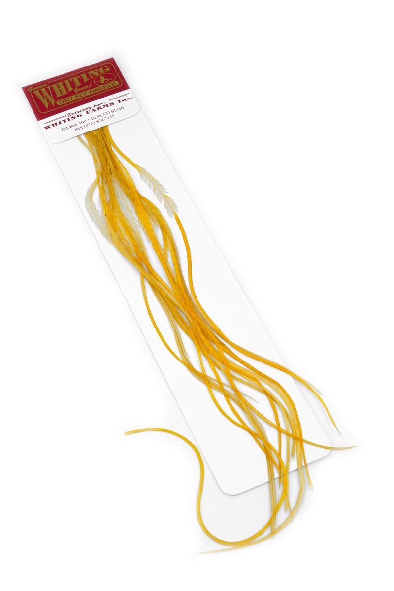 Whiting 100-pk – Size 16 â€“ dealerweb-cms-50f989b7-15e0-41d5-a7c8-4071152cf6be.jpg