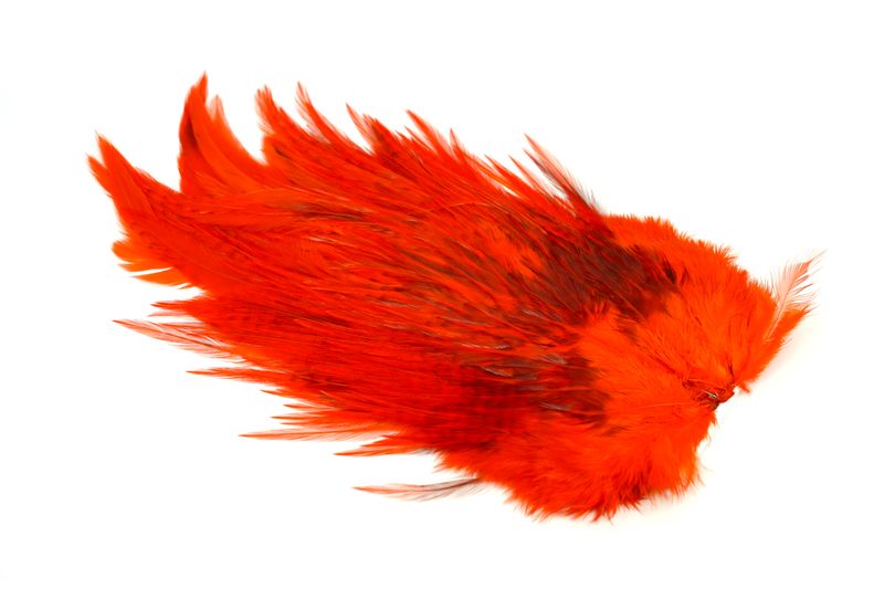 Whiting 4 B's Rooster Saddle â€“ dealerweb-cms-535df8b3-d51f-4954-99f2-0badda3a76f8.jpg