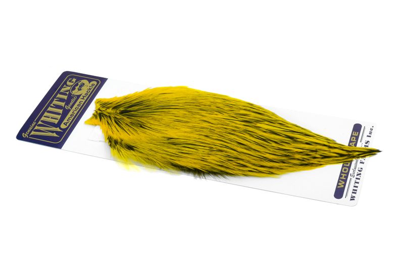 Whiting American Rooster Cape â€“ dealerweb-cms-54094b97-3562-4f31-b9bb-bc8d3911fbfa.jpg