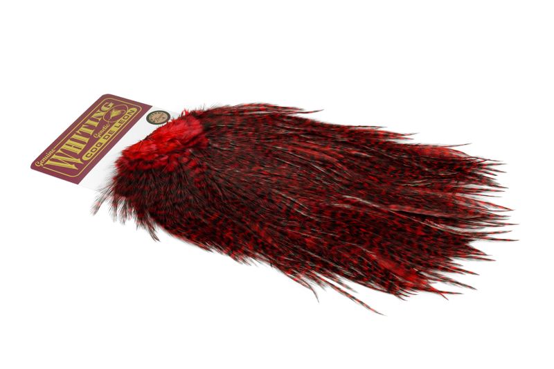 Whiting Coq de Leon Rooster Saddle – Bronze â€“ dealerweb-cms-54176dc1-f931-4a14-849c-72681be50310.jpg