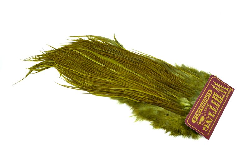 Whiting Eurohackle Saddle â€“ dealerweb-cms-55b1a707-c390-4259-8728-9cd463f57e13.jpg