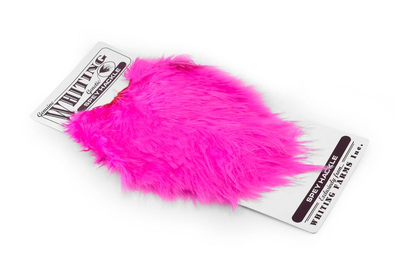 Whiting Spey Hackle Hen Saddle â€“ dealerweb-cms-55fe056e-f0fb-4c31-a2b1-e14ef152ccf2.jpg