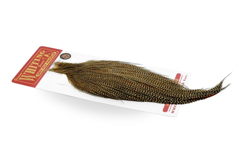 Whiting Rooster Cape – Bronze â€“ dealerweb-cms-57068337-aef3-4cdd-a19d-b7fefabcc584.jpg