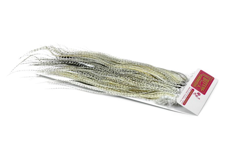 Whiting Rooster Saddle – Commercial Grade â€“ dealerweb-cms-5733ff13-6d3c-469c-bab6-5e6a56b28569.jpg