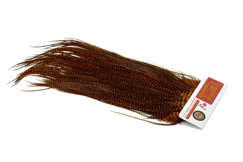 Whiting Rooster Saddle – Bronze â€“ dealerweb-cms-590112d0-1451-4d2e-945b-a4f4c4d01019.jpg