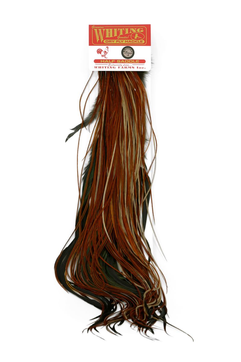 Whiting Rooster 1/2 Saddle – Bronze â€“ dealerweb-cms-5b5f7b4c-3e80-4ab1-9c04-91d766abd320.jpg