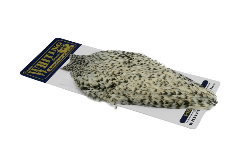 Whiting American Hen Cape â€“ dealerweb-cms-5c62397e-bd07-4f14-9fba-2119340f19ef.jpg
