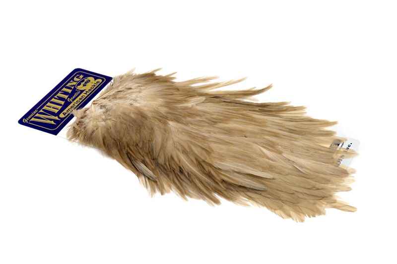 Whiting American Rooster Saddle â€“ dealerweb-cms-5d25a6c6-e9d1-4cb3-a326-967328fdfb18.jpg