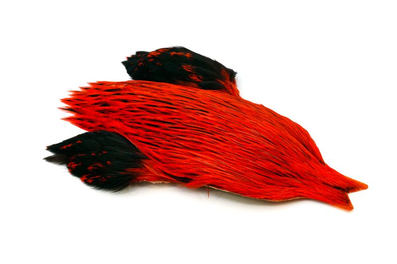Whiting Brahma Rooster Cape â€“ dealerweb-cms-5ece9029-34e8-4e1d-b245-663e1d5a550a.jpg