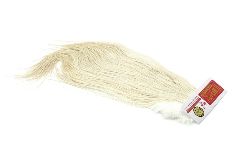 Whiting Rooster Saddle – Gold â€“ dealerweb-cms-5f8fec79-67c7-49eb-a828-3e94f2aea122.jpg