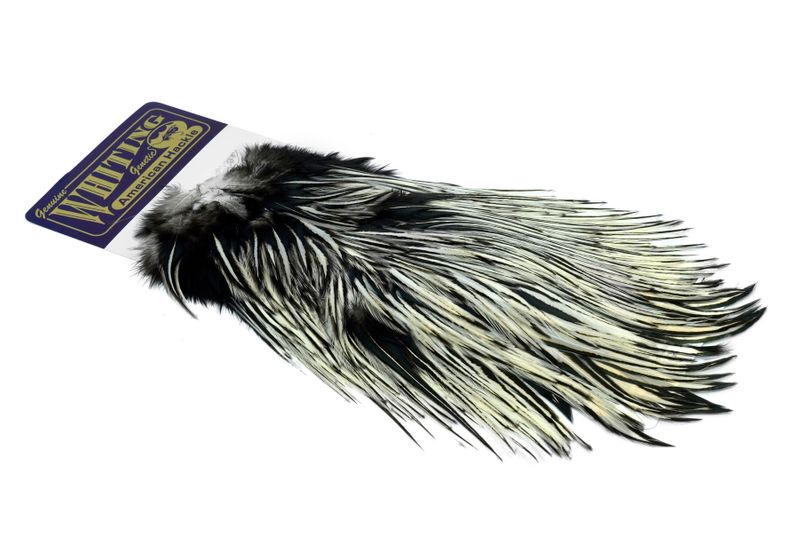 Whiting American Rooster Saddle â€“ dealerweb-cms-6090874a-7367-4d66-82d4-ce3fb579e296.jpg