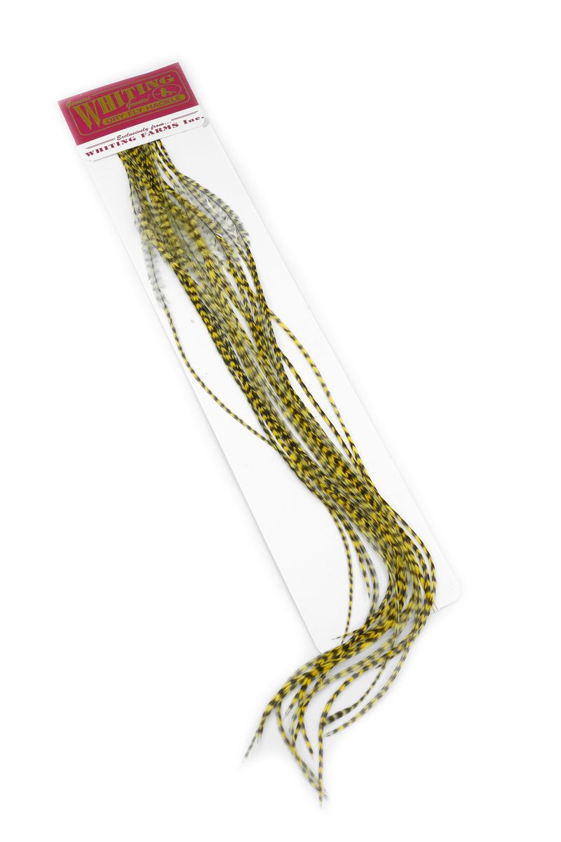 Whiting 100-pk – Size 16 â€“ dealerweb-cms-64db4737-5040-4d42-afe5-be62b4bf38ae.jpg