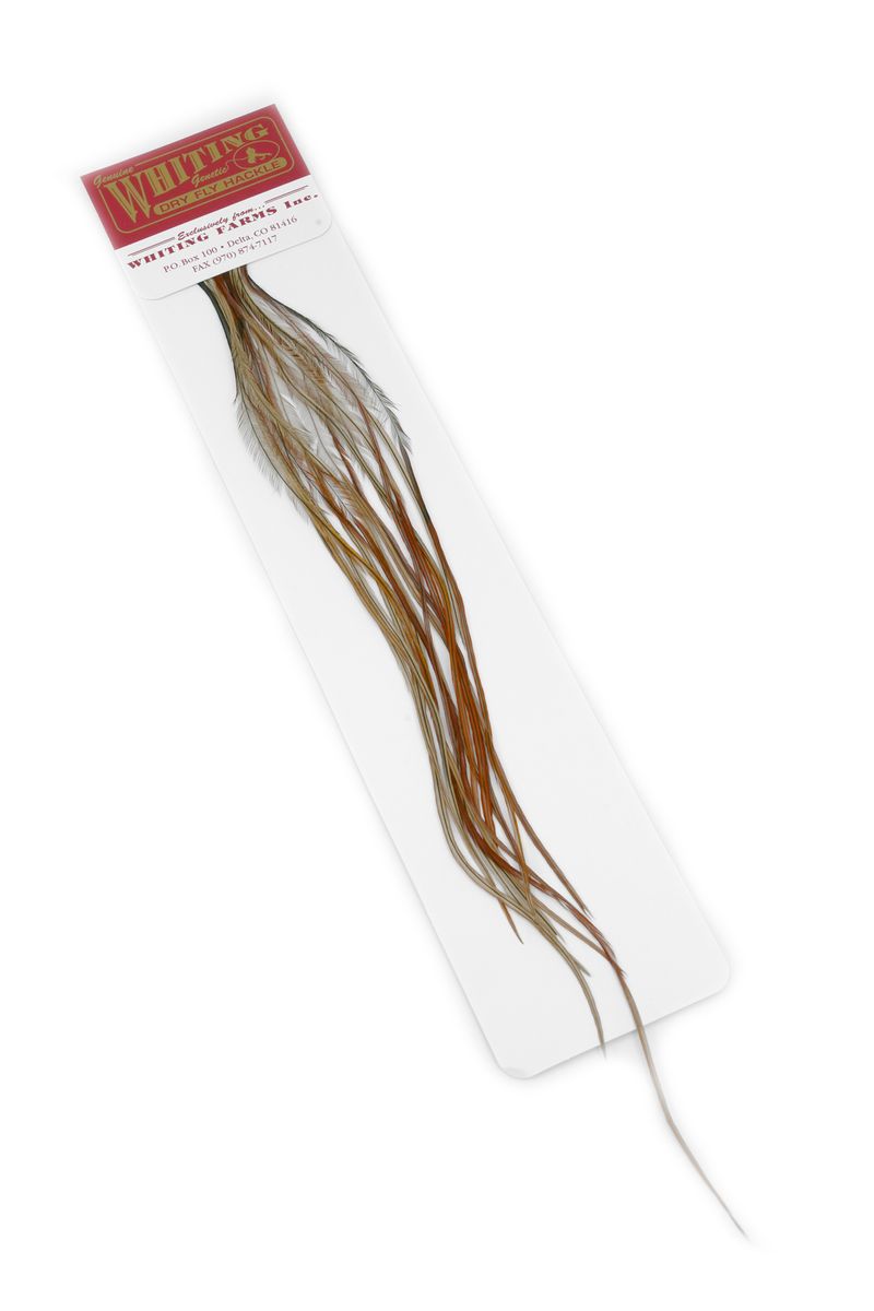 Whiting 100-pk – Size 16 â€“ dealerweb-cms-65d0b2f2-9f04-47e5-8a92-a19070b1351b.jpg