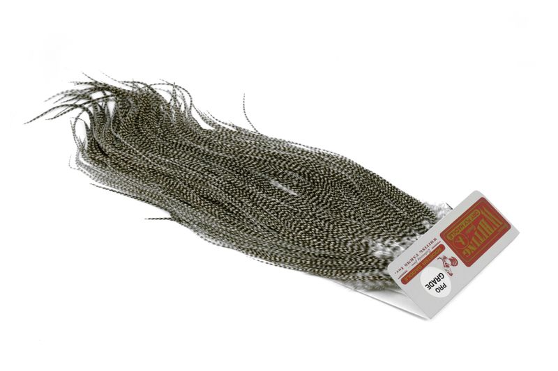 Whiting Rooster Saddle – Pro Grade â€“ dealerweb-cms-671d9269-fcbd-46be-a949-1fe70649cc10.jpg
