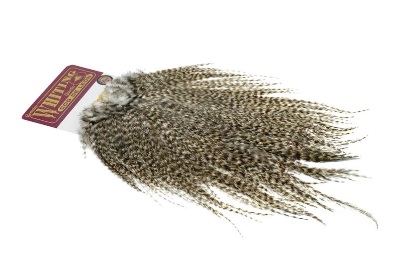Whiting Coq de Leon Rooster Saddle – Bronze â€“ dealerweb-cms-6dc6c71c-c2eb-4c4b-a253-d00e5a5d17d3.jpg