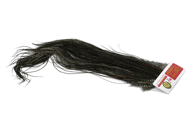 Whiting Gold Midge Saddle â€“ dealerweb-cms-6f5a67a4-beed-49db-bbaa-0e833bbb2d0e.jpg