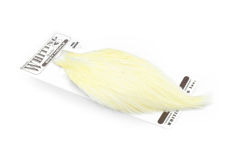 Whiting Spey Hackle Rooster Cape – Pro Grade â€“ dealerweb-cms-733f0822-b0d0-4b8c-af7e-e9c52662bce9.jpg